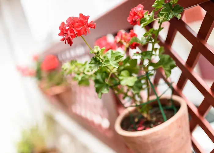 Les Almadies - Coeur De Saint-Jean-de-Luz
